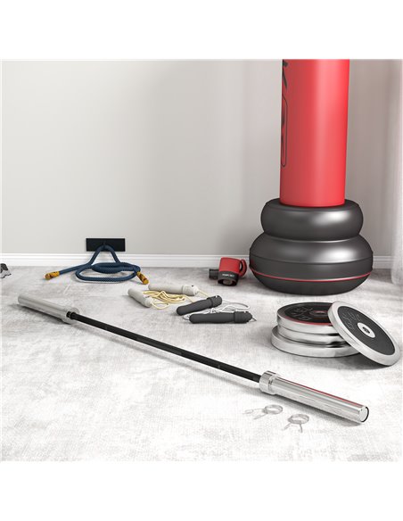 SPORTNOW Olympic Barbell: Home Gym Essential with Spring Collars, 210cm, 2"/5cm Plate Compatible A91-285V01BK - pic 89301 | FastDaddyshop