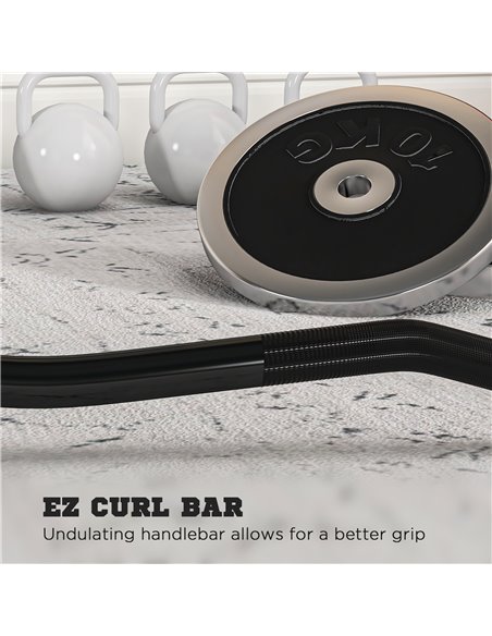 SPORTNOW Olympic EZ Curl Bar, Barbell Bar for 2"/5cm Weight Plates with Spring Clips, Home Gym Weight Lifting Bar, 120cm A91-284 - pic 89330 | FastDaddyshop