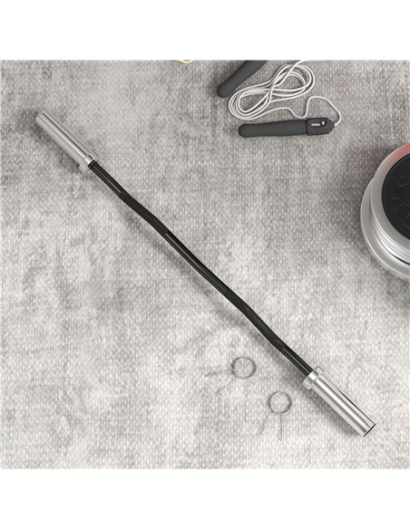 SPORTNOW Olympic EZ Curl Bar, Barbell Bar for 2"/5cm Weight Plates with Spring Clips, Home Gym Weight Lifting Bar, 120cm A91-284 - pic 89334 | FastDaddyshop