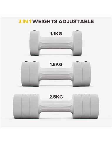 SPORTNOW Adjustable Dumbbells Set, Weights for Home Gym Workout, 2.5KG x 2, for Women and Men A91-307V00WT