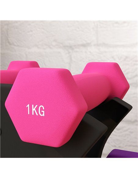 SPORTNOW 2 x 1kg, 2 x 2kg, 2 x 3kg Dumbbells Set with Dumbbell Rack, Hand Weights for Home Gym Training A91-317V00MX - pic 89776 | FastDaddyshop