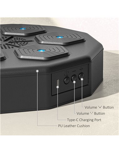 SPORTNOW Musical Boxing Machine Music Punching Machine with Bluetooth Connection and LED Light Smart, Wall Mounted A91-355V00BK