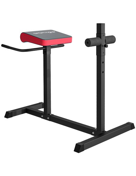 SPORTNOW Back Extension Roman Chair, Hyperextension Bench with Adjustable Leg Roller for Back, Abdominal and Gluteal Training A9 - pic 89993 | FastDaddyshop