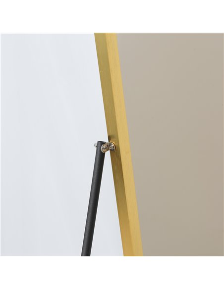 HOMCOM Full-Length Dressing Mirror, Wall-Mounted or Freestanding, Rectangle with Gold Frame, 160 x 50 cm for Bedrooms and Living - pic 94222 | FastDaddyshop