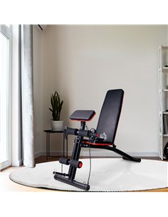 HOMCOM Foldable Adjustable Dumbbell Weight Lifting Sit Up Ab Bench Home Training Gym Incline Flat Multiuse Workout Exercise Fitn 2