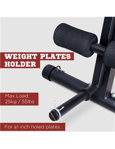 HOMCOM Foldable Adjustable Dumbbell Weight Lifting Sit Up Ab Bench Home Training Gym Incline Flat Multiuse Workout Exercise Fitn