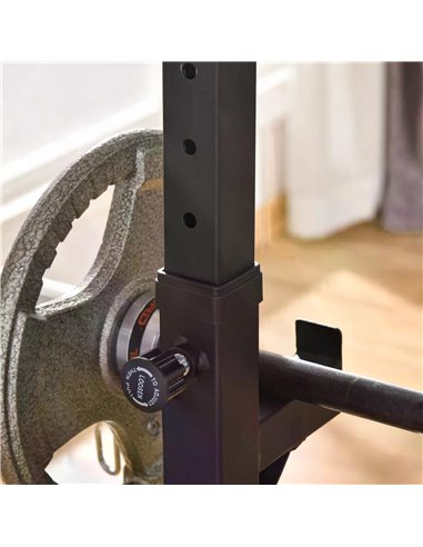 HOMCOM Barbell Rack Squat Dip Stand Weight Lifting Bench Press Home Gym Adjustable Multi-Use Station Fitness Workout Equ A91-071
