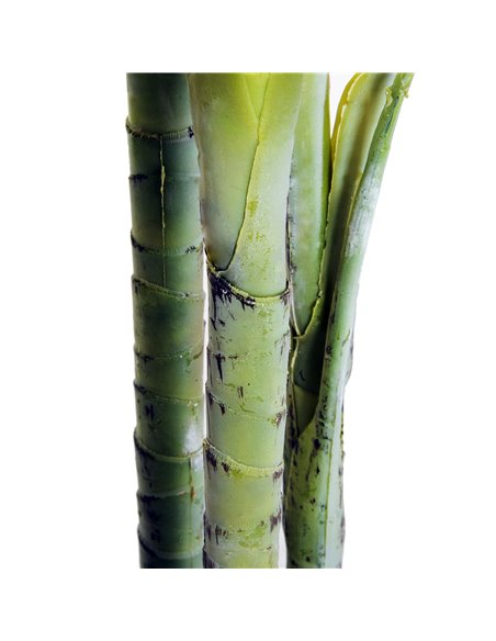 Outsunny 150cm(5ft) Artificial Palm Tree Decorative Indoor Faux Green Plant w/Leaves Home Décor Tropical Potted Home Office 844- - pic 97110 | FastDaddyshop