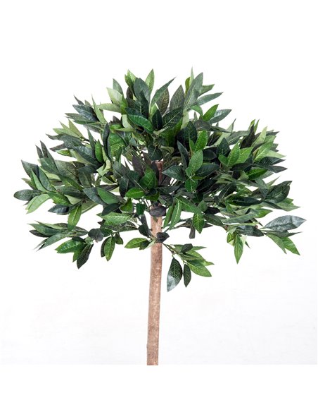 Outsunny 3ft Artificial Olive Tree Indoor Plant Greenery for Home Office Potted in An Orange Pot Set of 2 844-P035 - pic 97299 | FastDaddyshop