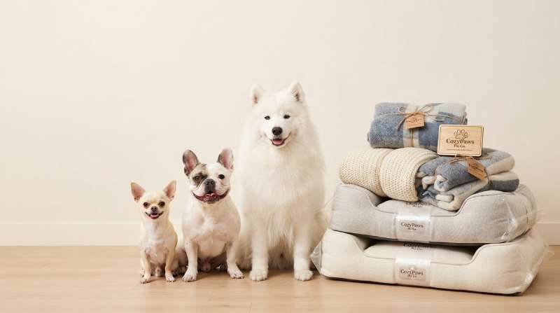 Three dogs of different sizes sitting happily next to premium pet blankets and dog beds on FastDaddyshop.